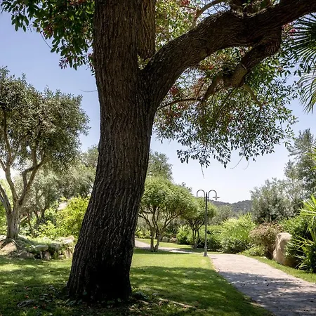 Cruccuris - Adults Only 4* Villasimius