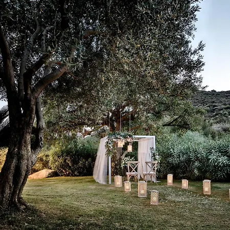 Cruccuris - Adults Only 4*